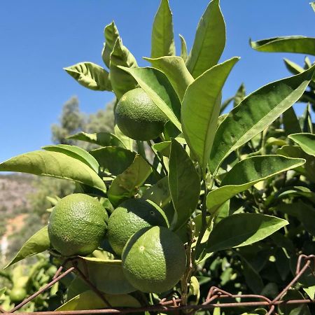 Periana B&B Villa Deseada מראה חיצוני תמונה