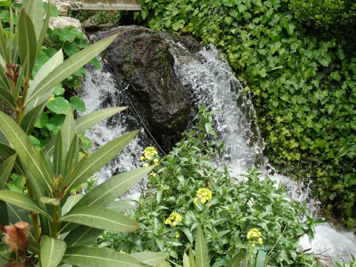 Periana B&B Villa Deseada מראה חיצוני תמונה