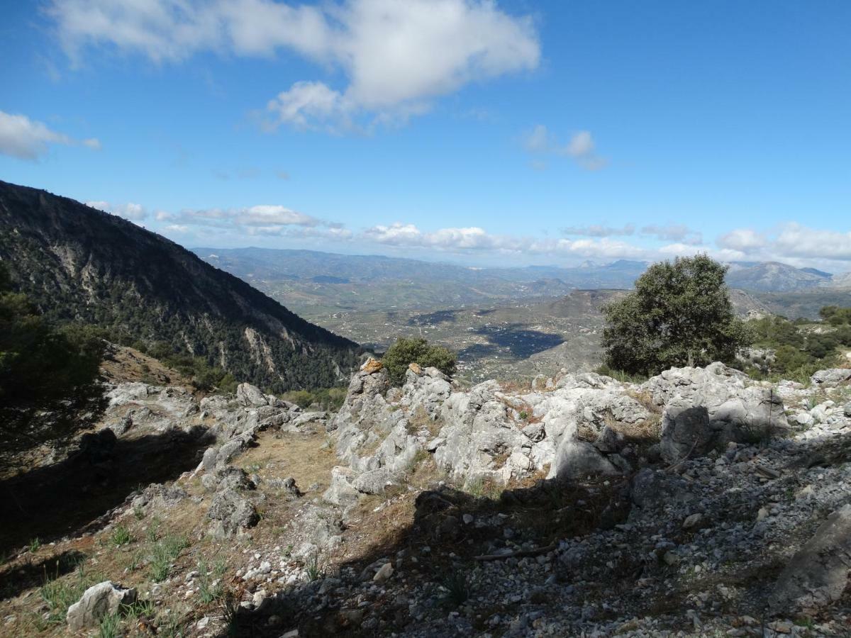Periana B&B Villa Deseada מראה חיצוני תמונה