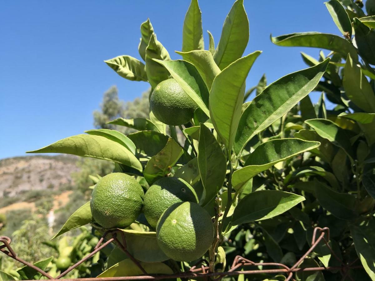 Periana B&B Villa Deseada מראה חיצוני תמונה